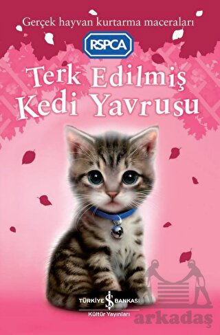 Terk Edilmiş Kedi Yavrusu