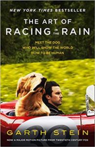 The Art Of Racing İn The Rain