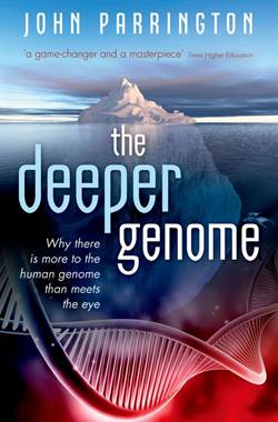 The Deeper Genome: Why There Is More To The Human Genome Than Meets The Eye