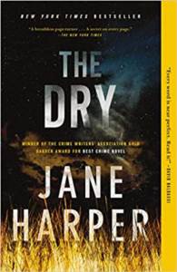 The Dry: A Novel