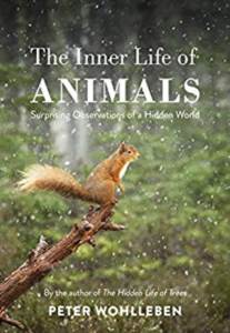 The Inner Life Of Animals: Surprising Observations Of A Hidden World