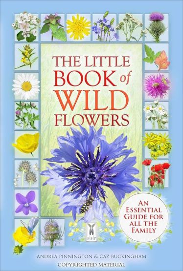 The Little Book of Wild Flowers A New World to Discover