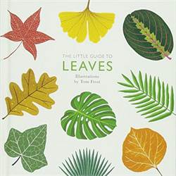 The Little Guide to Leaves