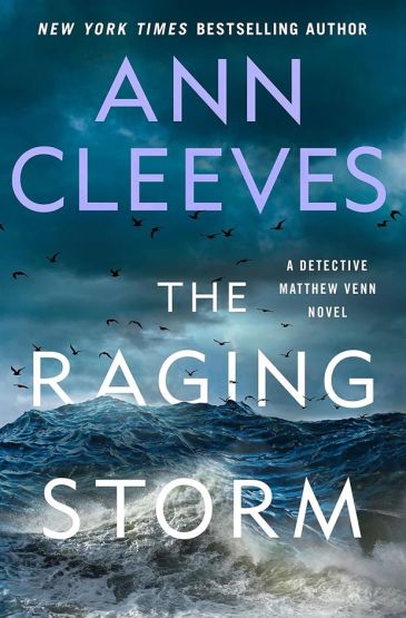 The Raging Storm - The Two Rivers Series