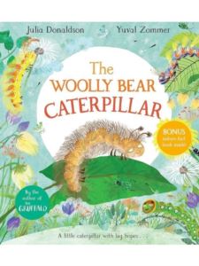 The Woolly Bear Caterpillar