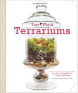 Tıny World Terrarıums A Step-By-Step Guı