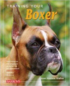 Training Your Boxer