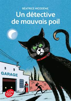 Un detective de mauvais poil