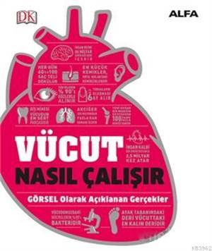 Vücut Nasıl Çalışır