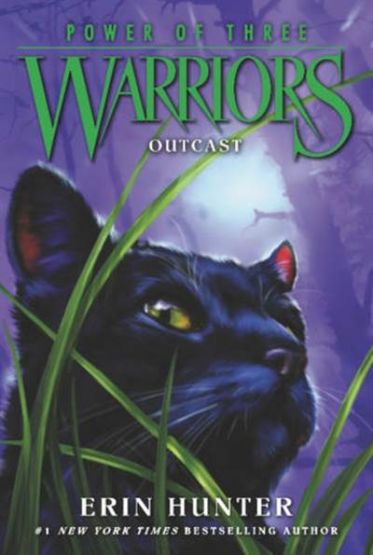 Warriors: Power Of Three #3: Outcast