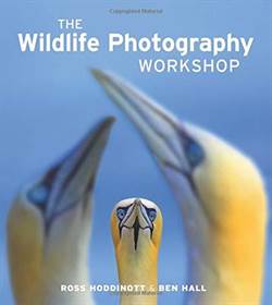 Wildlife Photography Workshop