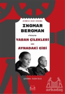 Yaban Çilekleri - Aynadaki Gibi