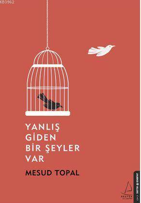 Yanlış Giden Bir Şeyler Var