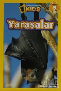 Yarasalar