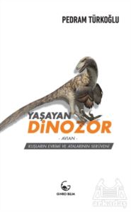 Yaşayan Dinozor - Avian