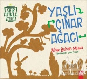 Yaşlı Çınar Ağacı