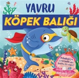 Yavru Köpek Balığı