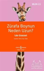 Zürafa Boynun Neden Uzun?